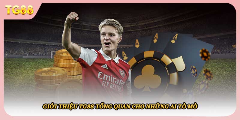 Giới thiệu TG88 tổng quan cho những ai tò mò